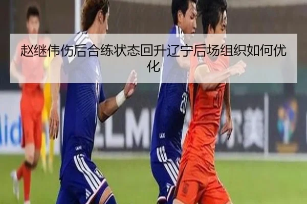 赵继伟伤后合练状态回升辽宁后场组织如何优化