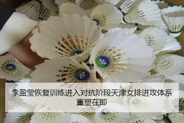 李盈莹恢复训练进入对抗阶段天津女排进攻体系重塑在即